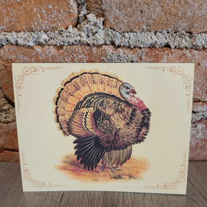 Thanksgiving Notecard Set