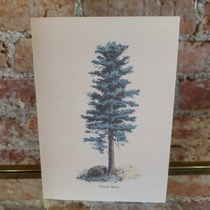 Seasonal Trees Notecard Set