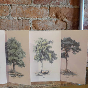 Seasonal Trees Notecard Set