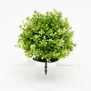 Dome Boxwood Ball