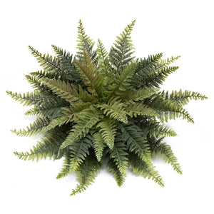 Faux Lady Fern