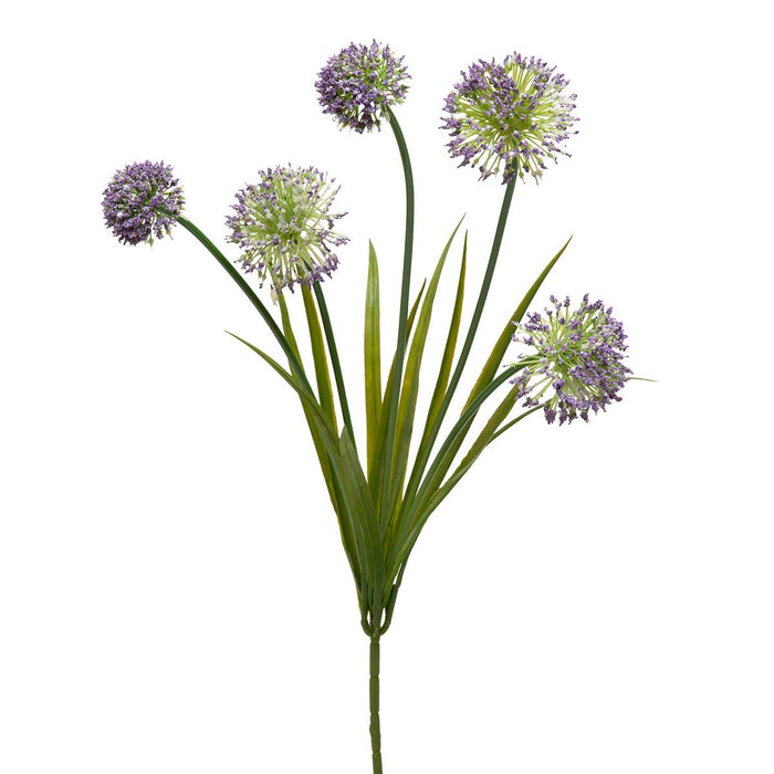 Allium Spray -Purple