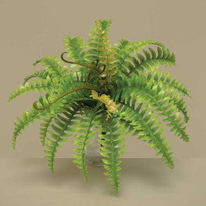 Faux Boston Fern with New Growth