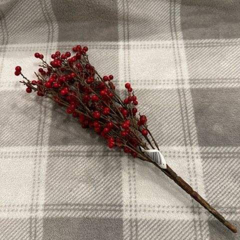 Red Berry Stem