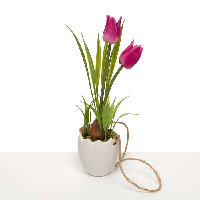 Raspberry Tulip in White Egg Pot