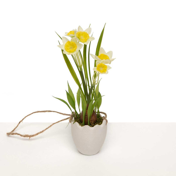 Cream Daffodil in White Egg Pot