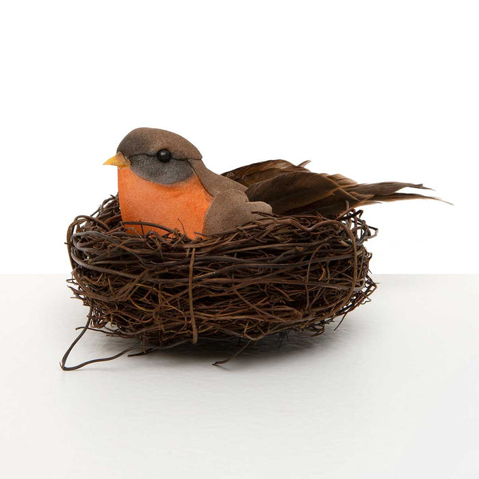 Harvest Bird in Nest