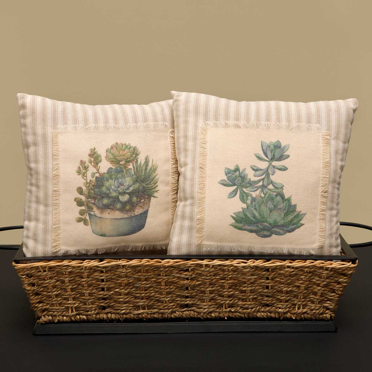 Succulent Pillow – City Boy Country Life