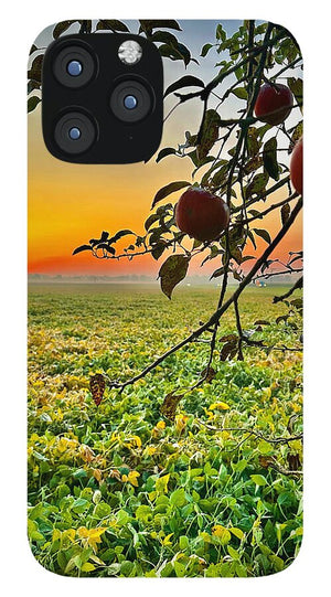 Apple Sunrise - Phone Case