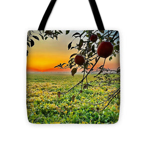 Apple Sunrise - Tote Bag