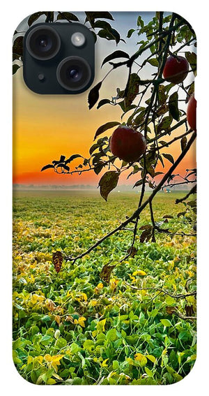 Apple Sunrise - Phone Case