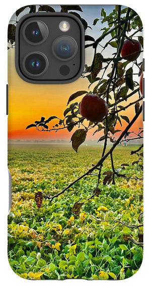 Apple Sunrise - Phone Case