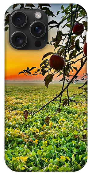 Apple Sunrise - Phone Case