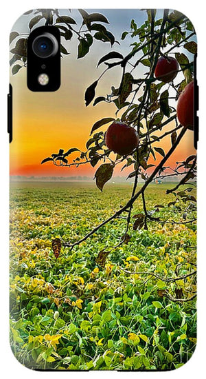 Apple Sunrise - Phone Case