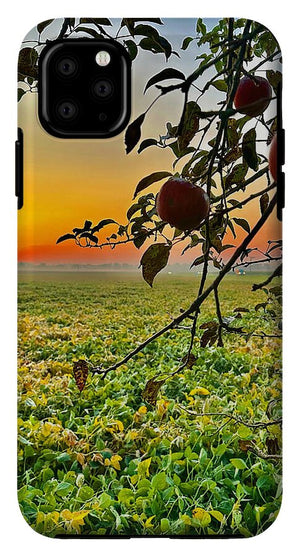 Apple Sunrise - Phone Case