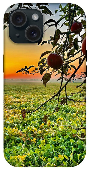 Apple Sunrise - Phone Case