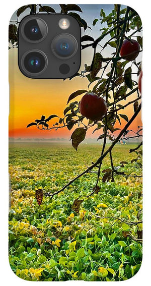 Apple Sunrise - Phone Case