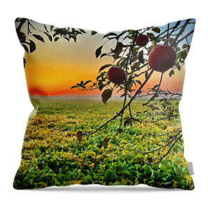 Apple Sunrise - Throw Pillow