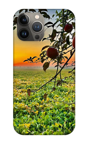 Apple Sunrise - Phone Case