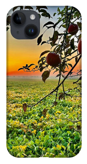 Apple Sunrise - Phone Case