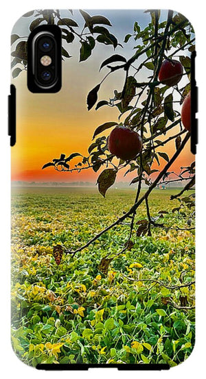 Apple Sunrise - Phone Case