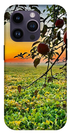 Apple Sunrise - Phone Case