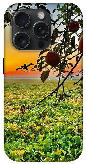 Apple Sunrise - Phone Case