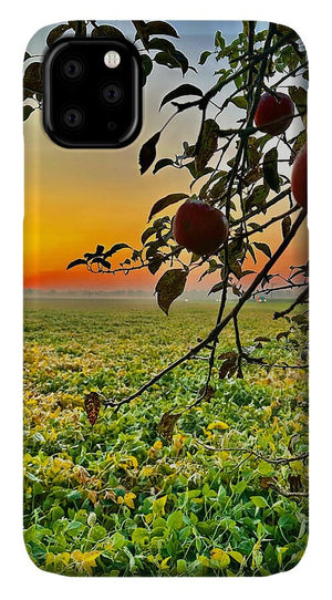 Apple Sunrise - Phone Case