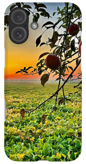 Apple Sunrise - Phone Case