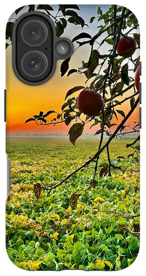 Apple Sunrise - Phone Case