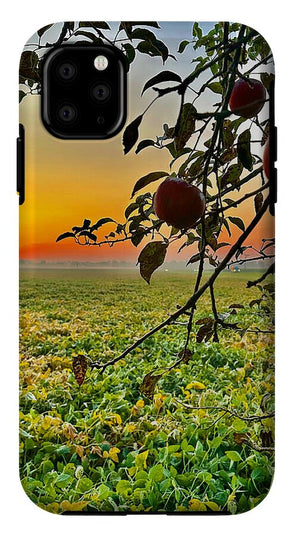 Apple Sunrise - Phone Case