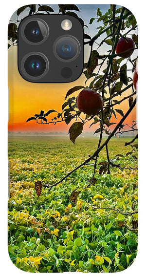 Apple Sunrise - Phone Case