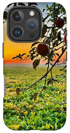 Apple Sunrise - Phone Case