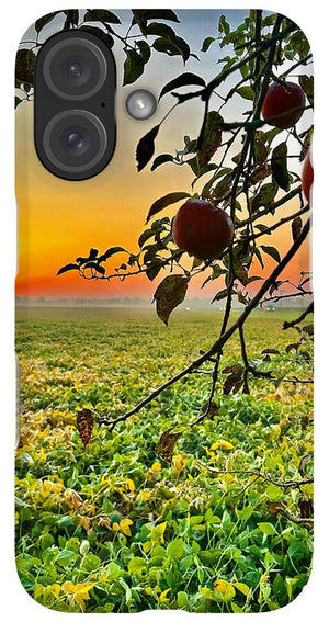 Apple Sunrise - Phone Case