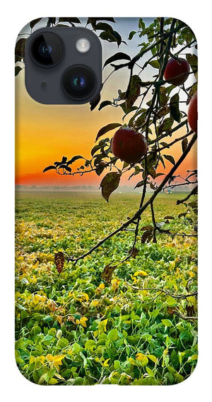 Apple Sunrise - Phone Case