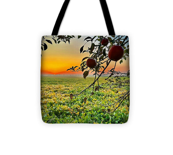 Apple Sunrise - Tote Bag