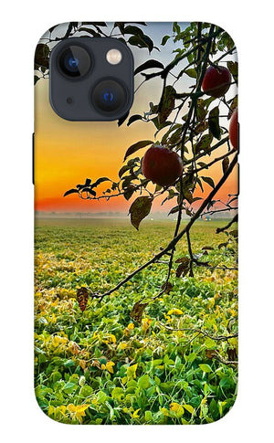 Apple Sunrise - Phone Case