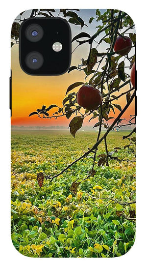 Apple Sunrise - Phone Case