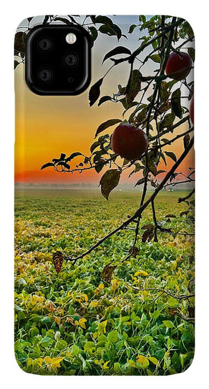 Apple Sunrise - Phone Case