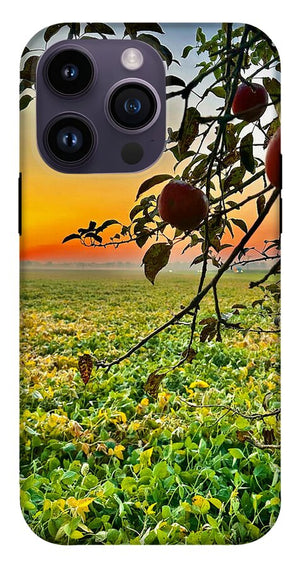 Apple Sunrise - Phone Case