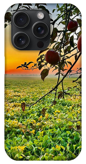 Apple Sunrise - Phone Case