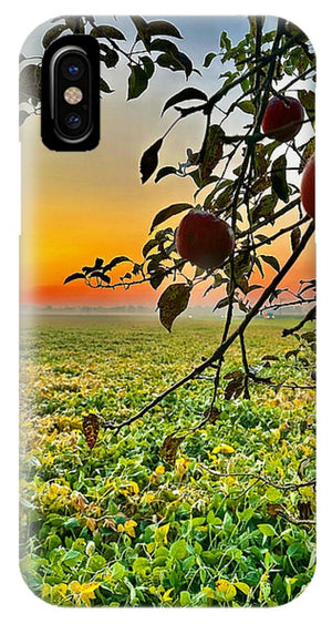 Apple Sunrise - Phone Case