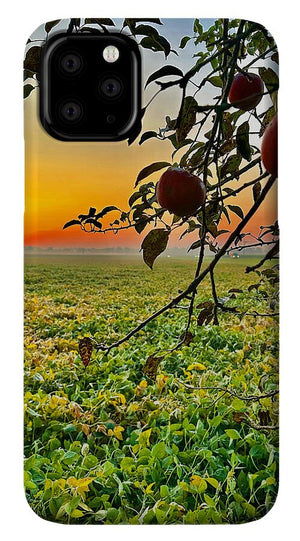 Apple Sunrise - Phone Case