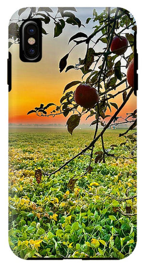 Apple Sunrise - Phone Case