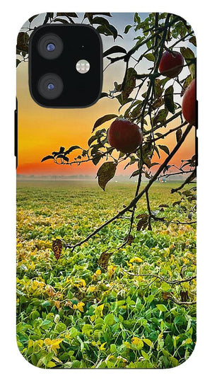 Apple Sunrise - Phone Case