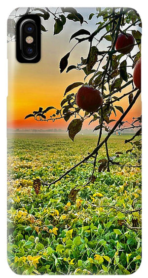 Apple Sunrise - Phone Case