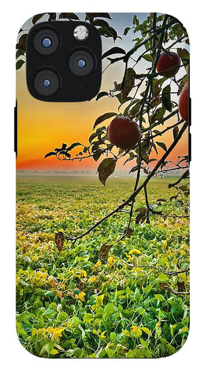 Apple Sunrise - Phone Case