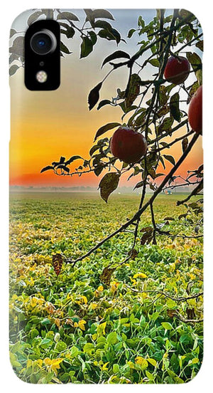 Apple Sunrise - Phone Case