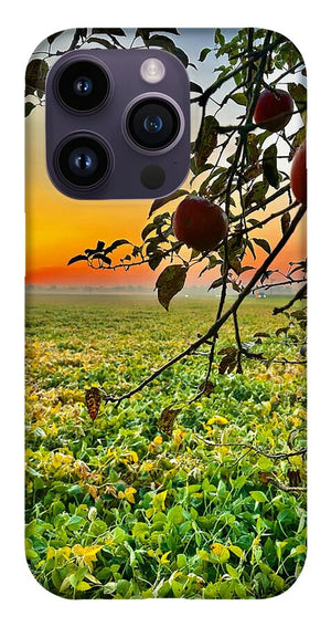 Apple Sunrise - Phone Case