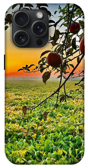 Apple Sunrise - Phone Case